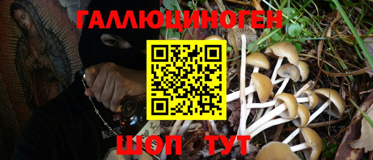 Галлюциногенные грибы Magic Shrooms  Псилоцибиновые грибы ЛСД  Новокуйбышевск  Вход с VPN 
